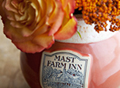 Mast Farm Inn