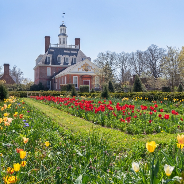 Williamsburg Lodge, Autograph Collection, and Colonial Houses
