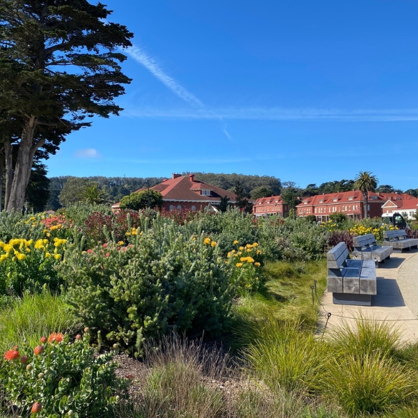 The Lodge at the Presidio