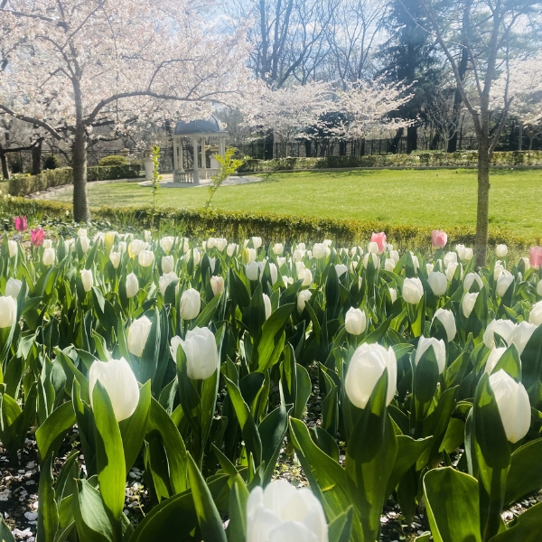 Omni Shoreham Hotel