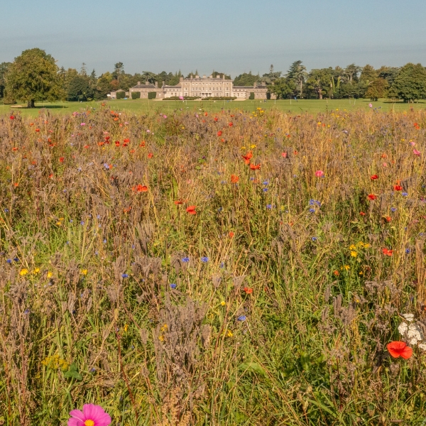 Carton House, a Fairmont Managed Hotel