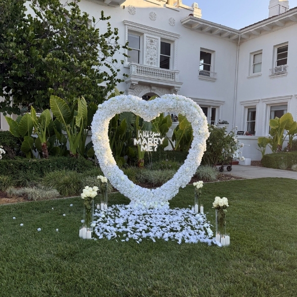 Hayes Mansion San Jose, Curio Collection by Hilton