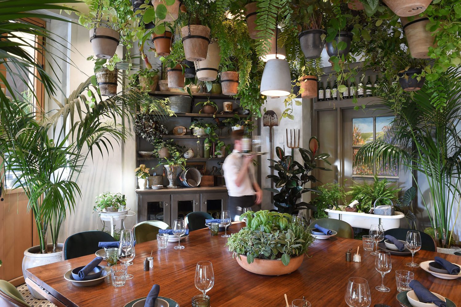 Image of dining, Fairmont Miramar Hotel & Bungalows, Santa Monica, California