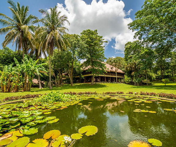 Mayaland-Hotel--Bungalows-Chichen-Itza-Mexico-Pond-and-lily-pads.jpg
