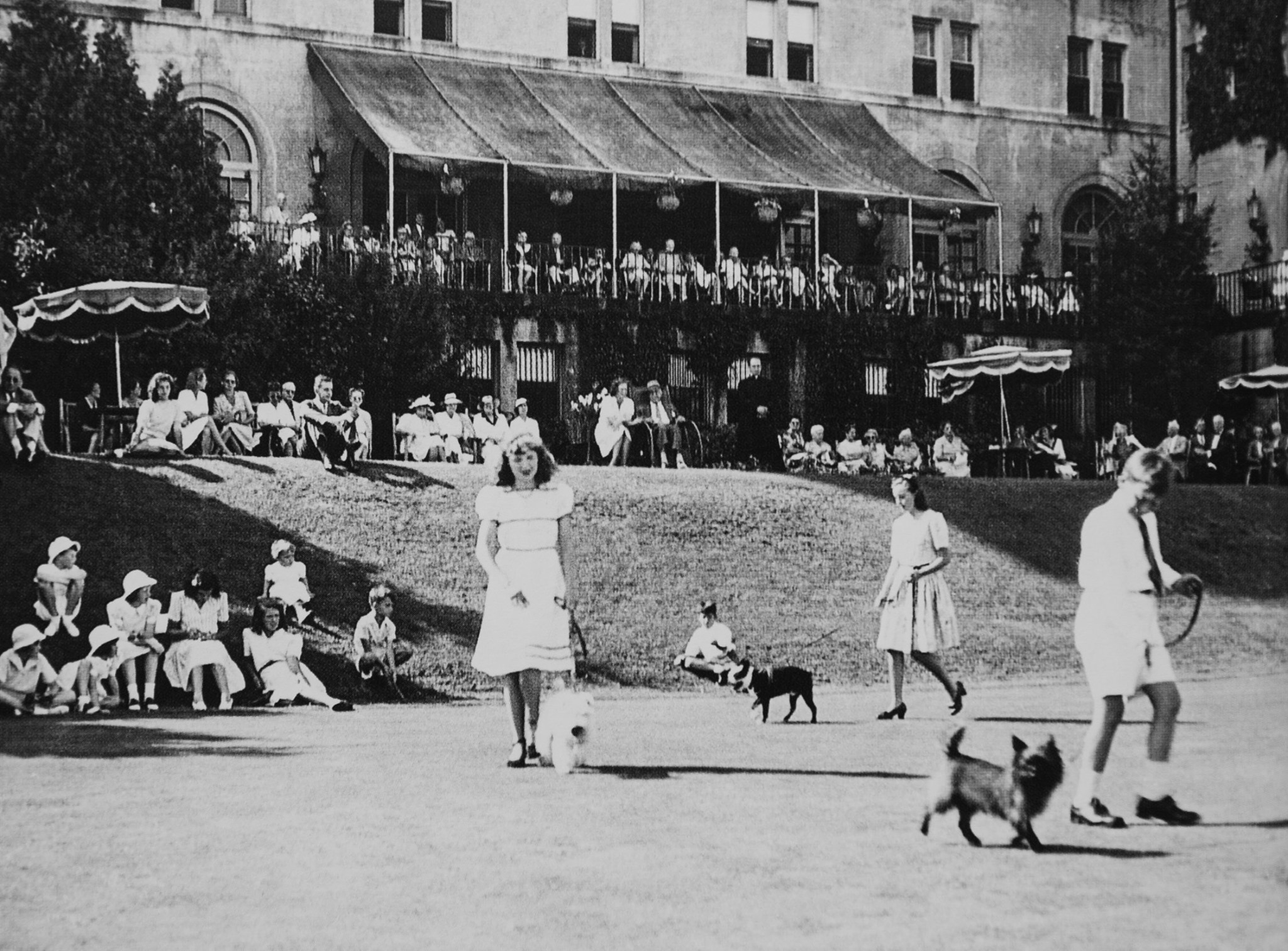 Historical image of guests walking their dogs in what appears to be a dog show at Fairmont Le Manoir Richelieu, 1899, a member of Historic Hotels Worldwide since 2018, Charlevoix, Quebec, Canada